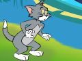 Leikur Tom og Jerry - Cat Crossing  á netinu