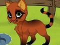 Leikur Kitten My  á netinu