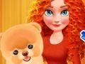Leikur Merida Pet Care Salon  á netinu