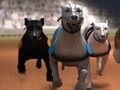 Leikur Greyhound kappreiðar á netinu
