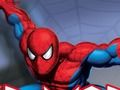 Leikur Spider Warrior á netinu