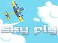 Leikur Sky Fly á netinu