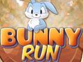 Leikur Bunny Run á netinu