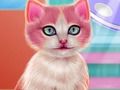 Leikur Kitty Tannhirða  á netinu