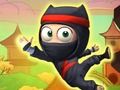 Leikur Ninja stígur upp á netinu