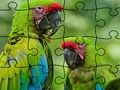 Leikur Jigsaw þraut regnskógur á netinu