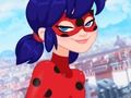 Leikur Ladybug er nýtt ævintýri  á netinu