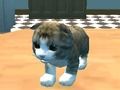 Leikur Cat Simulator: Kitty Craft! á netinu