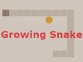 Leikur Vaxandi Snake  á netinu