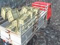 Leikur Offroad vörubíll bílstjóri  á netinu
