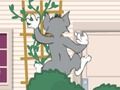 Leikur Tom og Jerry: Wasserbomben Wahnsinn  á netinu