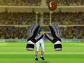 Leikur American Football Challenge á netinu