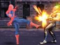 Leikur Spider-Man: Street Fighting  á netinu