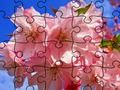 Leikur Jigsaw þraut: blóm á netinu