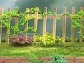 Leikur Garden Secrets falin bréf  á netinu