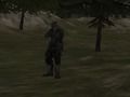 Leikur FPS umboðsskrifstofa: Skógur á netinu