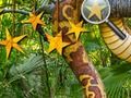 Leikur Jungle Falinn Stars  á netinu