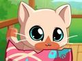 Leikur Pocket Gæludýr Kitty Cat mín  á netinu