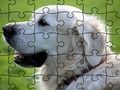 Leikur Jigsaw Puzzle Temdýr  á netinu
