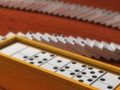 Leikur Domino fjölspilari á netinu