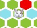 Leikur Trap Cat  á netinu