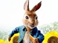 Leikur Peter Rabbit: Trouble in the Maze  á netinu