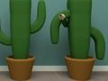 Leikur Cactus teningur  á netinu