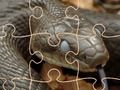 Leikur Mysterious Snakes: Puzzle  á netinu