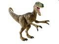 Leikur Dinosaur Memory Challenge á netinu