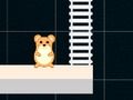Leikur Smart Hamster Time  á netinu