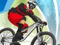 Leikur Sumaríþróttir MTB Hero  á netinu