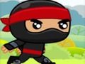 Leikur Ninja á netinu
