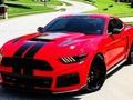 Leikur Fancy Mustang munur  á netinu