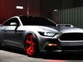 Leikur Daily Mustang á netinu