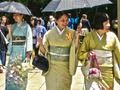 Leikur 100 fiðrildi í Japan  á netinu
