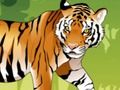 Leikur Angry Tiger litarefni  á netinu