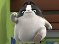 Leikur Umboðsmaður Binky Pets of the Universe púsluspil  á netinu