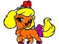Leikur Princess Of Pets litarefni  á netinu