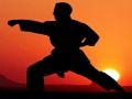 Leikur Karate Sunset Warriors á netinu