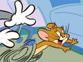 Leikur Tom og Jerry Run  á netinu