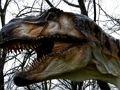 Leikur T-Rex risaeðluspil  á netinu