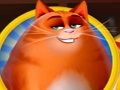 Leikur Kitty Scramble á netinu