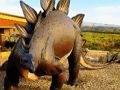 Leikur Stegosaurus risaeðluspil  á netinu