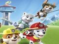 Leikur Paw Patrol litarefni  á netinu