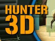 Leikur Hunter 3d á netinu
