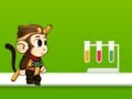 Leikur Jungle Monkey Run á netinu