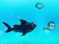 Leikur Reiður Shark Miami á netinu