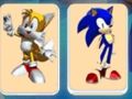 Leikur Sonic minni  á netinu