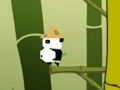 Leikur Panda stökk á netinu