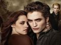 Leikur Twilight púslusafn  á netinu